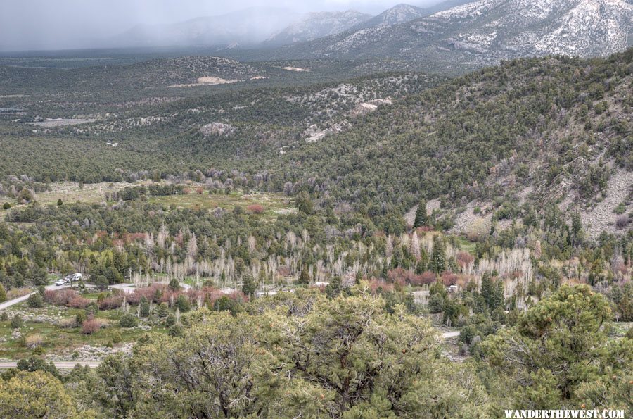 View of the Campground from the Wheeler Peak Rd.