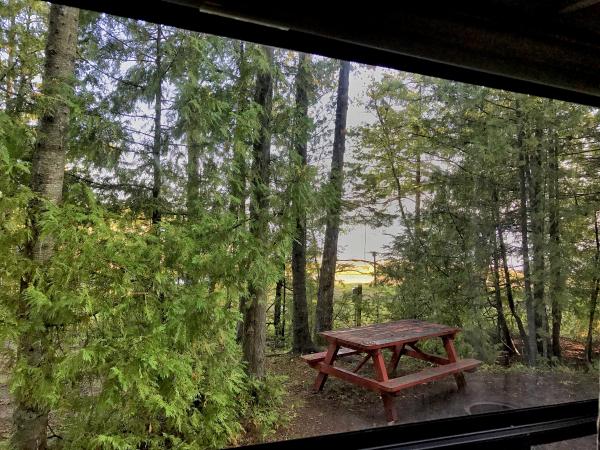 View toward Lake Huron at Castle Rock Camp Park, site 80