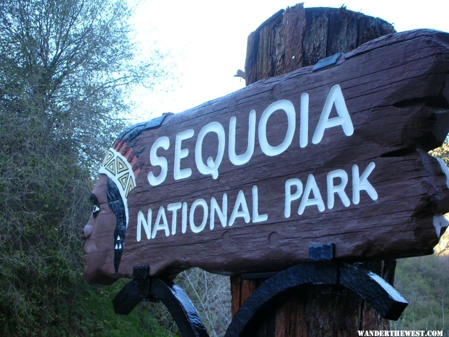 Welcome to Sequoia National Park!