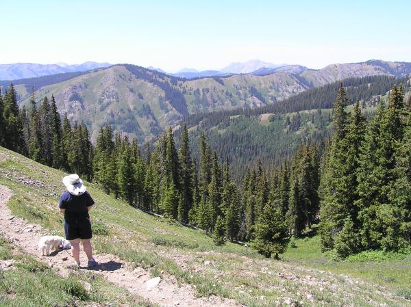 West Elk Wilderness at end of Rainbow Lake Road near Gunnison, Colorado