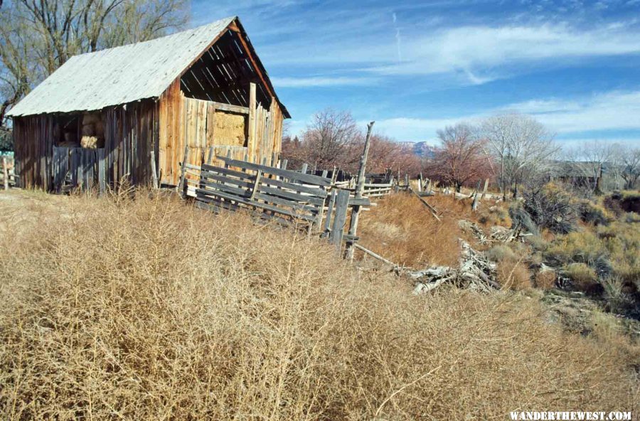 West Rim Trail--Remnants of homestead on the Horse Pasture Plateau