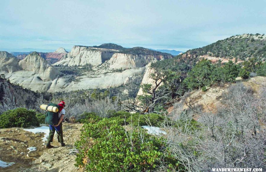 West Rim Trail--Views from the Horse Pasture Plateau