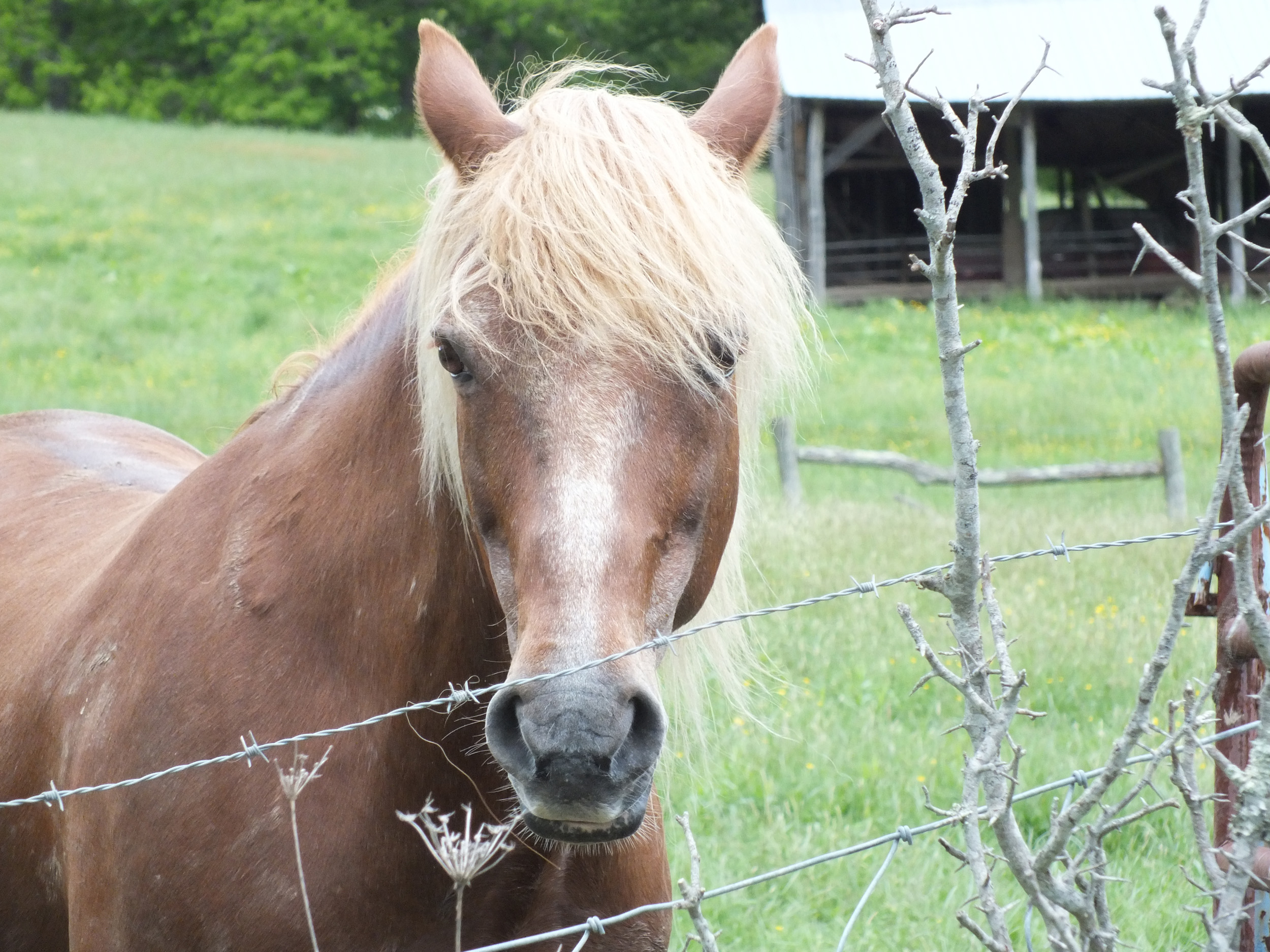 West Virginia May '11