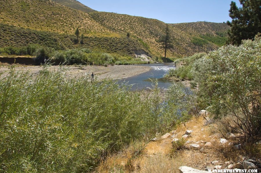 West Walker River Along Highway 395