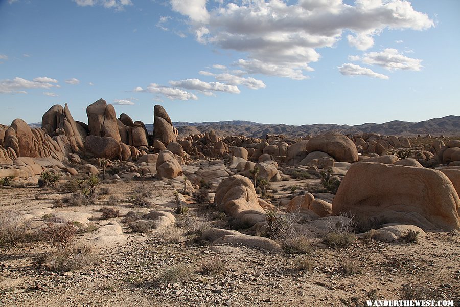 White Tank Campground