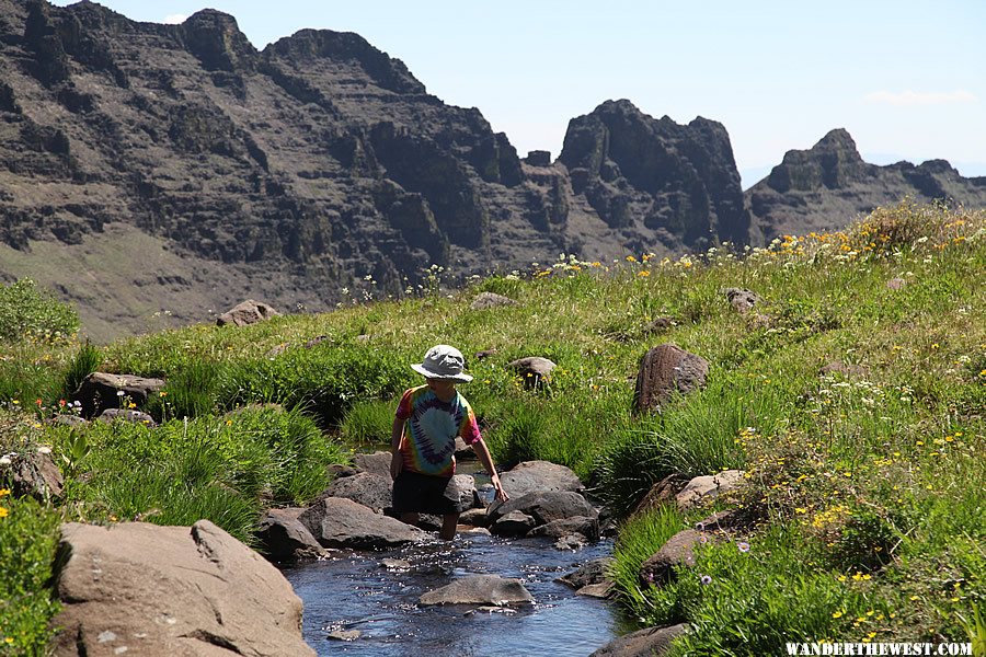 Wildhorse Lake - Steens Mountain