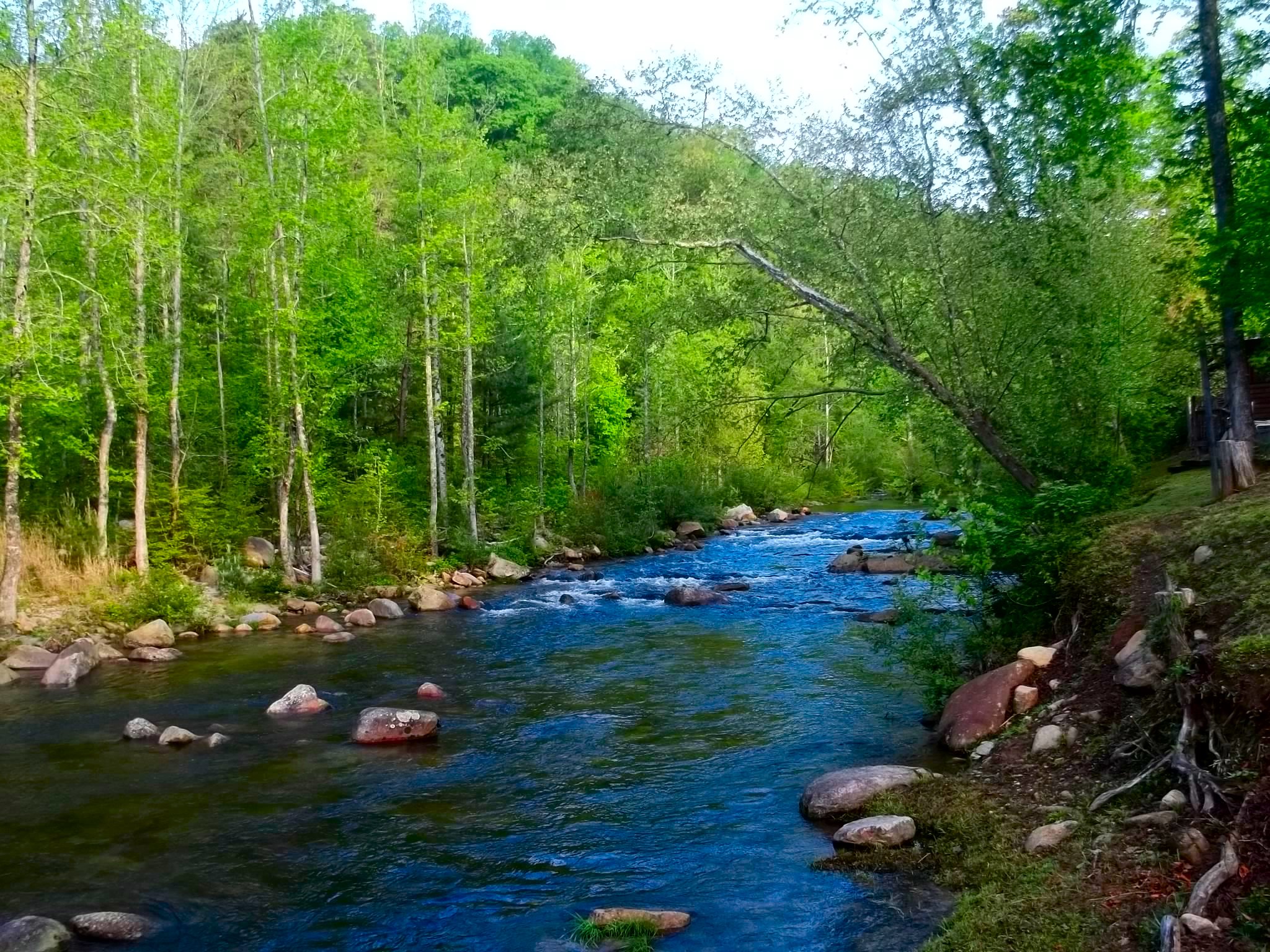 Wilson Creek in North Carolina