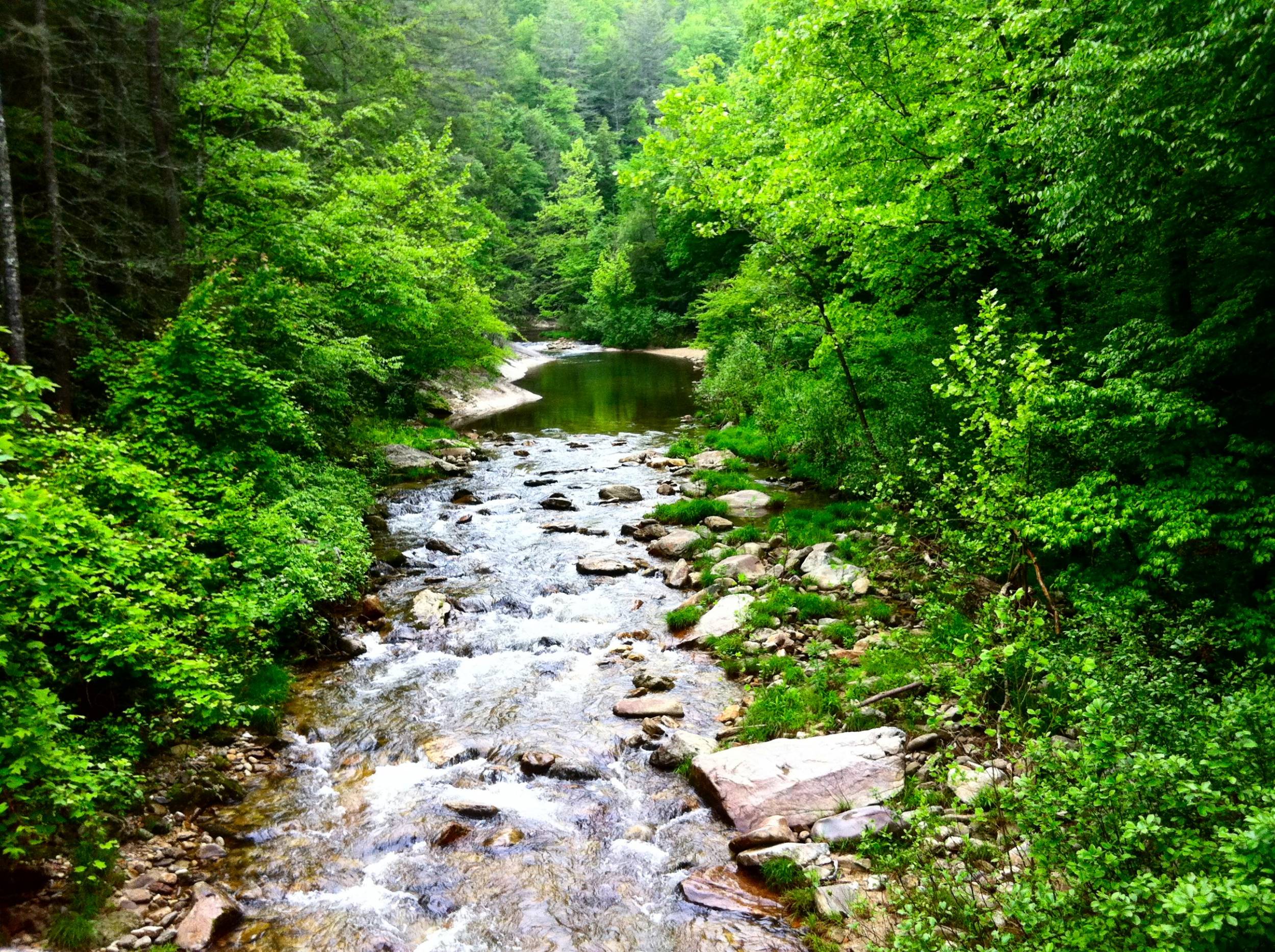 Wilson Creek - NC